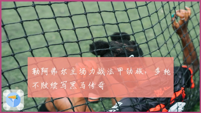 勒阿弗尔主场力战法甲劲旅，多轮不败续写黑马传奇